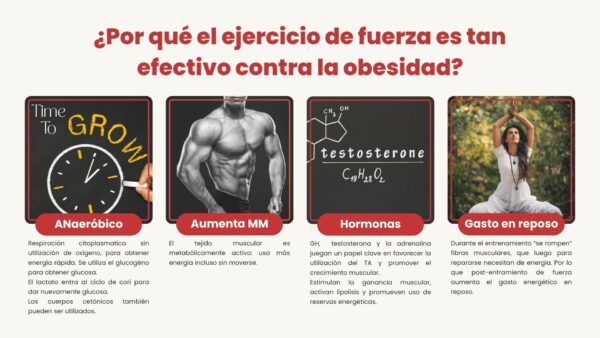 Entrenamiento para perder grasa